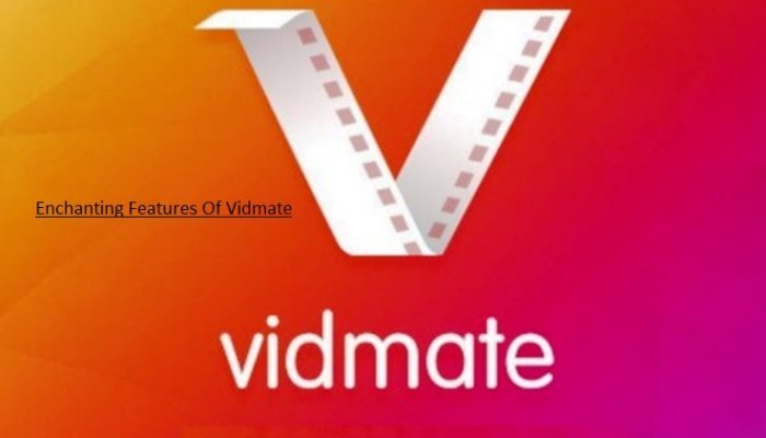 Vidamate app